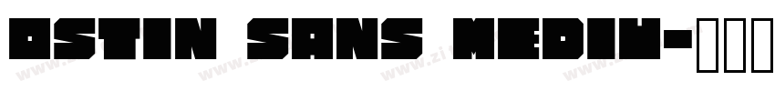 OSTIN Sans Mediu字体转换 OSTIN Sans Mediu字体转换